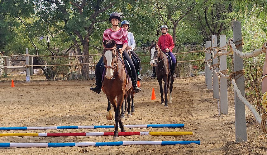 Certified Vocational Equitation & Horse Care Intro Course