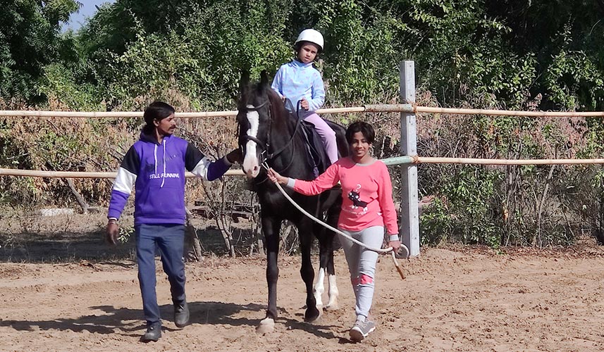 Certified Vocational Equitation & Horse Care Intro Course